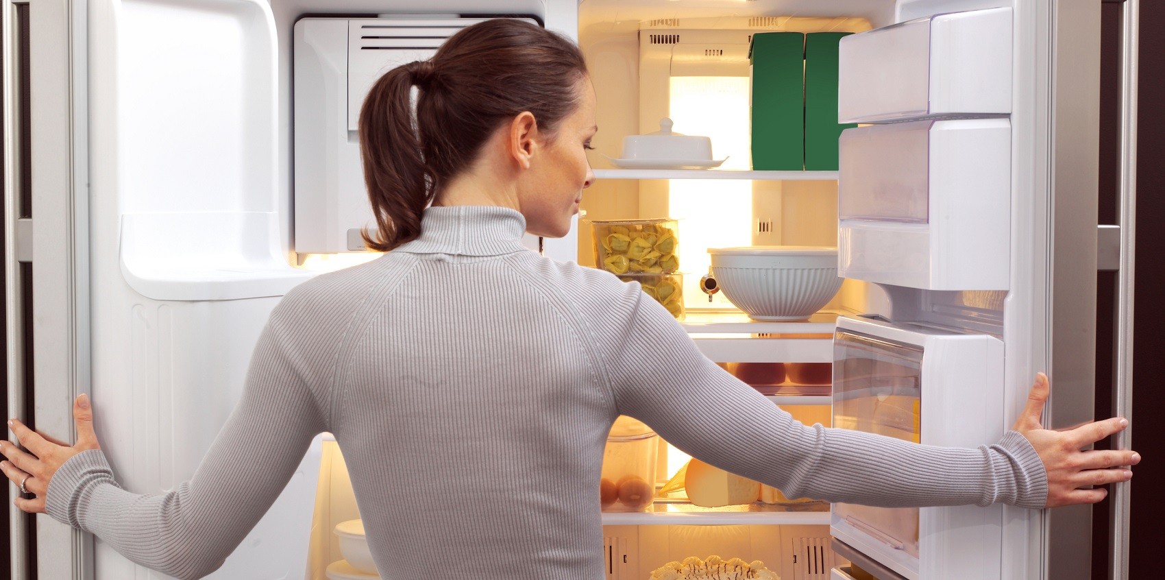 Преимущества и недостатки двухкомпрессорных холодильников