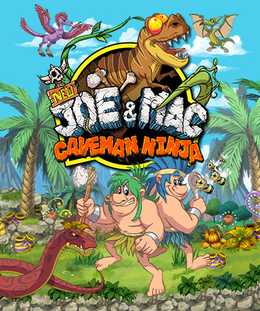New Joe & Mac - Caveman Ninja