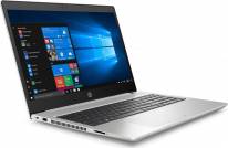 Ноутбук HP ProBook 445 G7 (1F3L0EA)