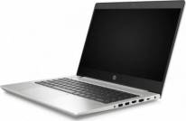 Ноутбук HP ProBook 445 G7 (1F3L1EA)