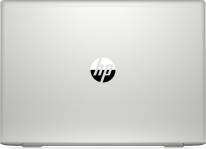 Ноутбук HP ProBook 445 G7 (1F3L1EA)
