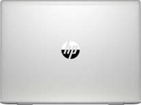 Ноутбук HP ProBook 445 G7 (175W4EA)